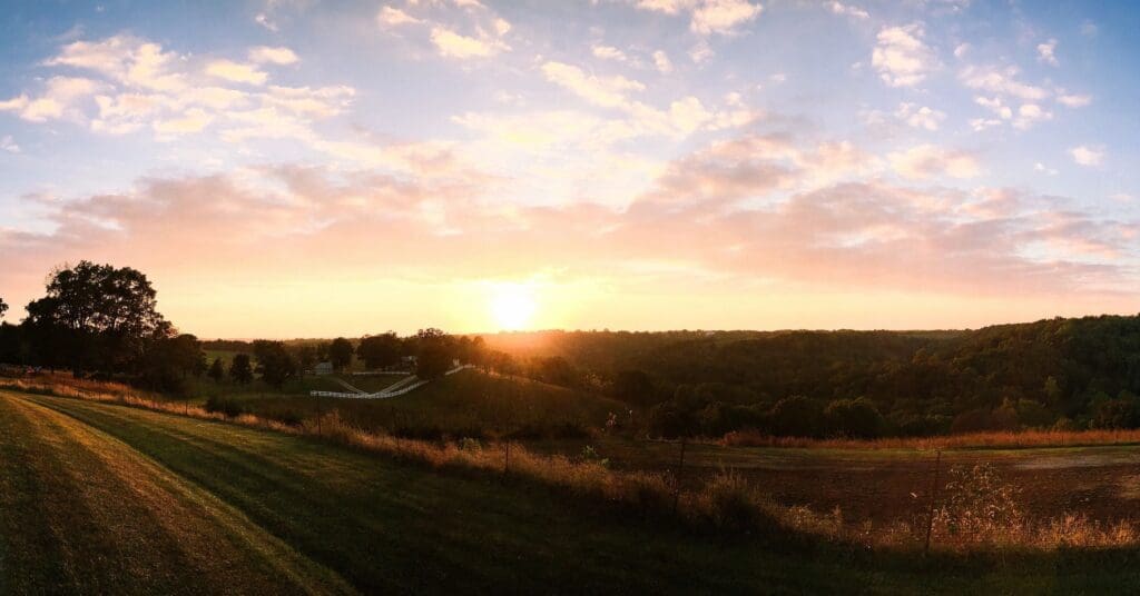 Lexington south carolina